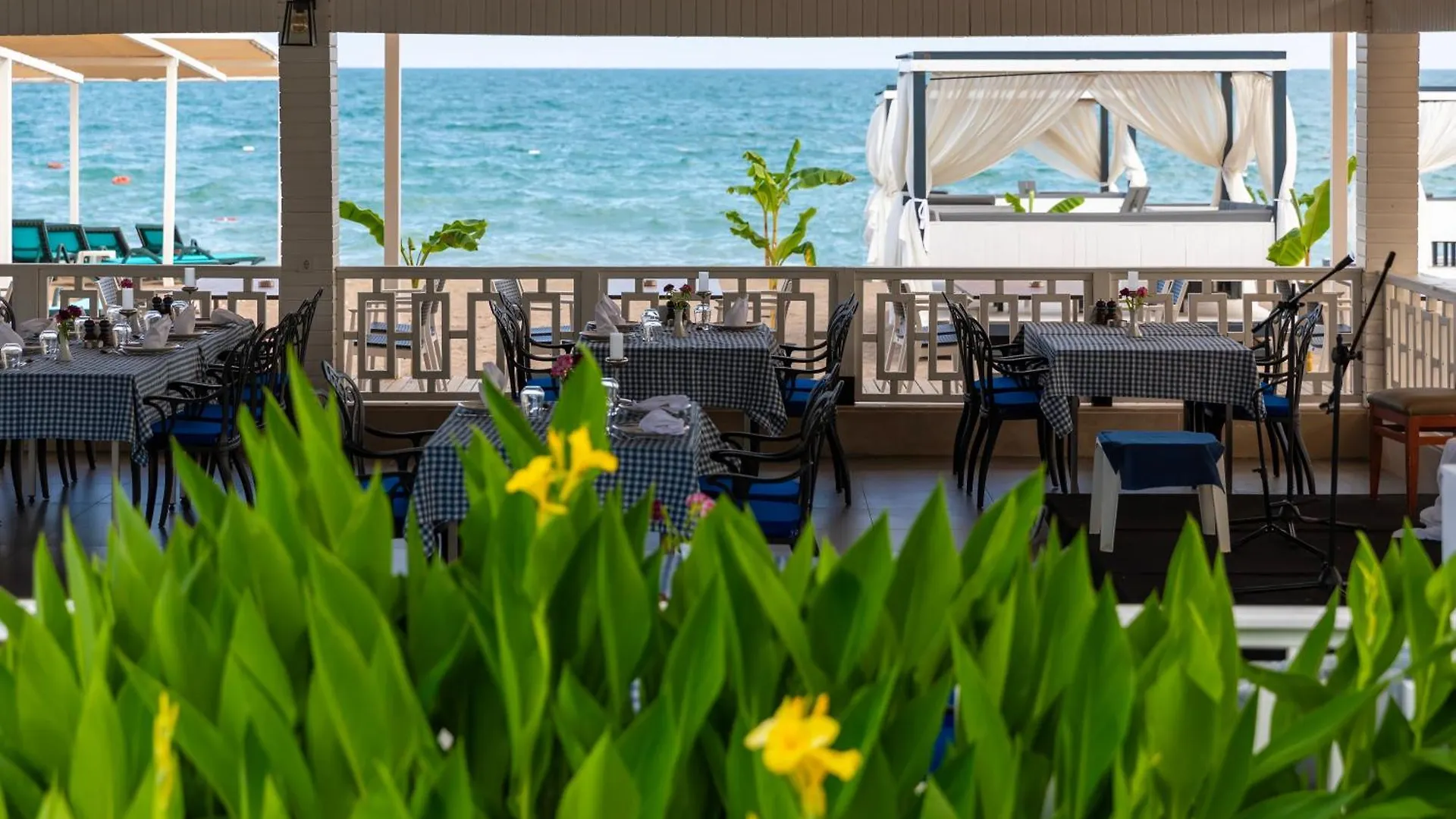 Crystal Centro Resort - Ultimate All Inclusive Анталья